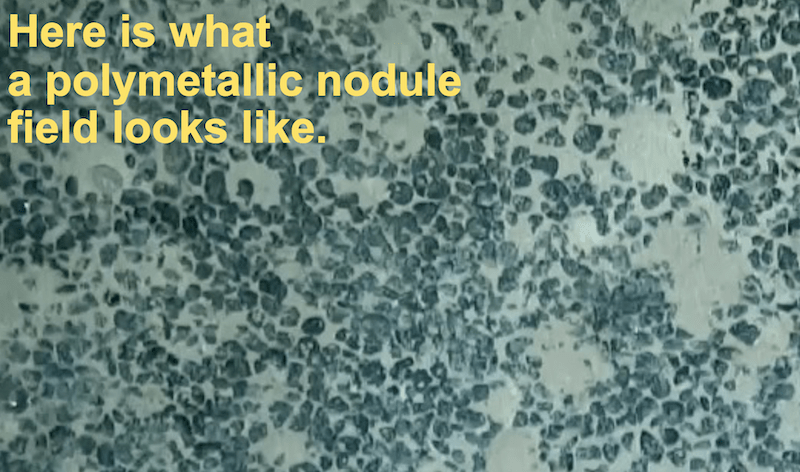 sea nodules