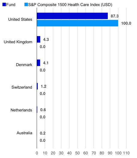 Top countries (% of total net assets)